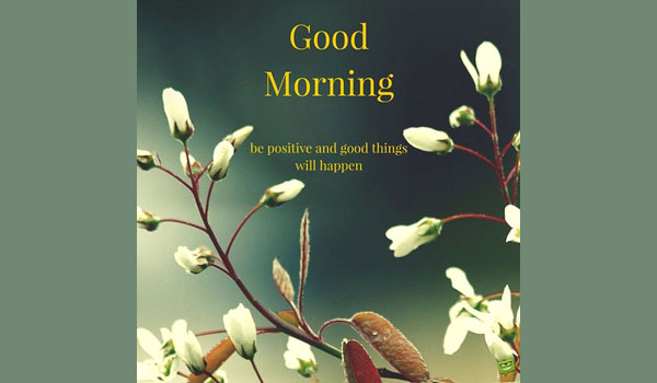 Good Morning Funny Quotes