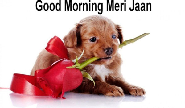 Good Morning