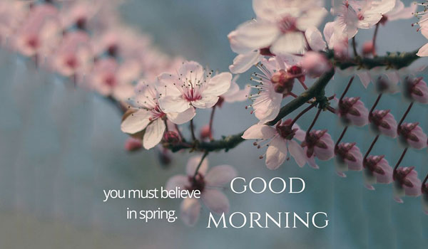 Good Morning