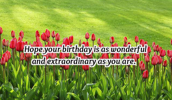 Happy Birthday