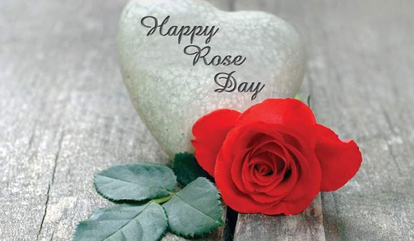 Best Rose Day Status