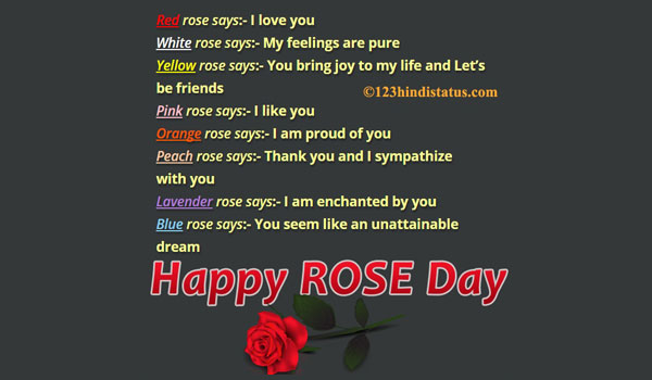 Best Rose Day Status