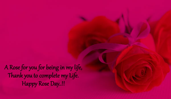 Best Rose Day Status