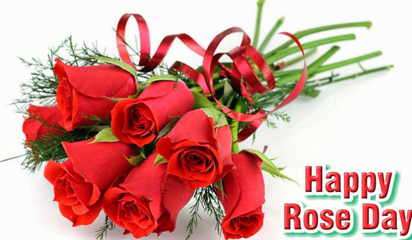 Happy Rose Day