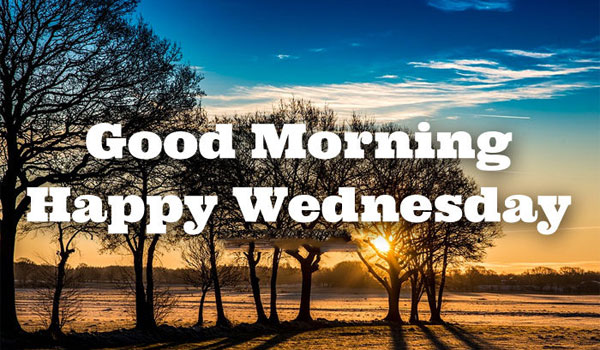 Happy Wednesday