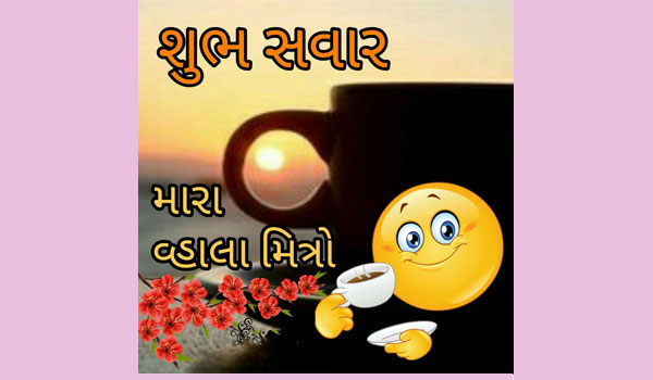 Shubh Savar