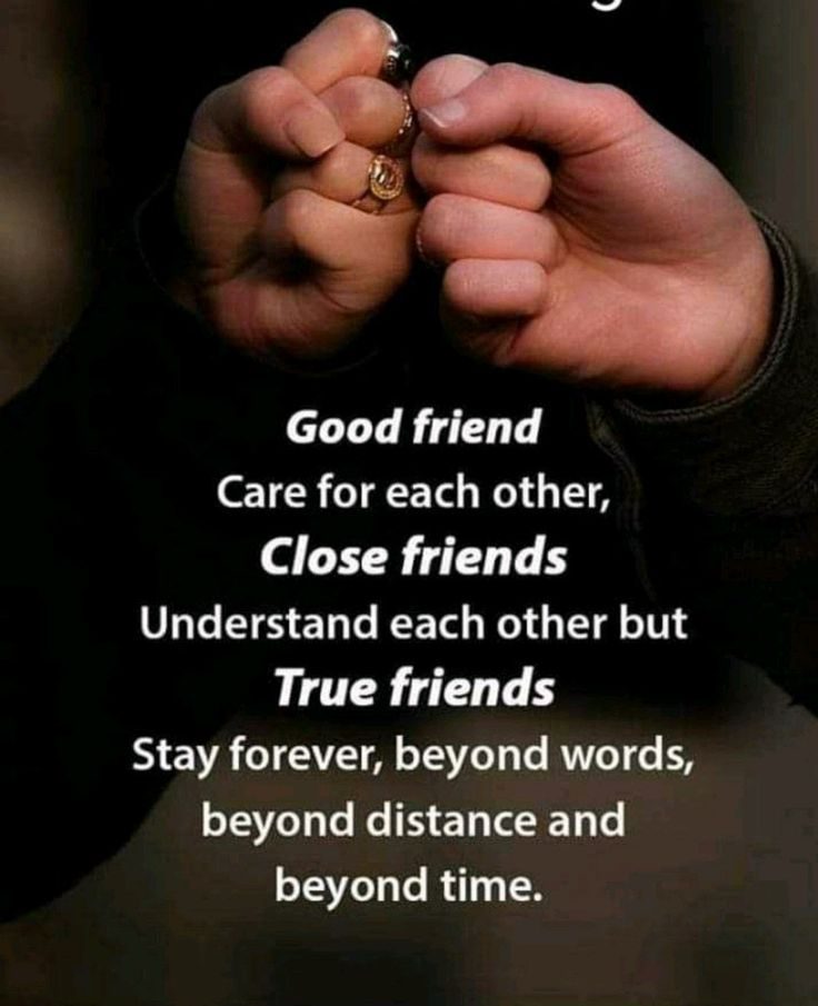 The Forever Friend