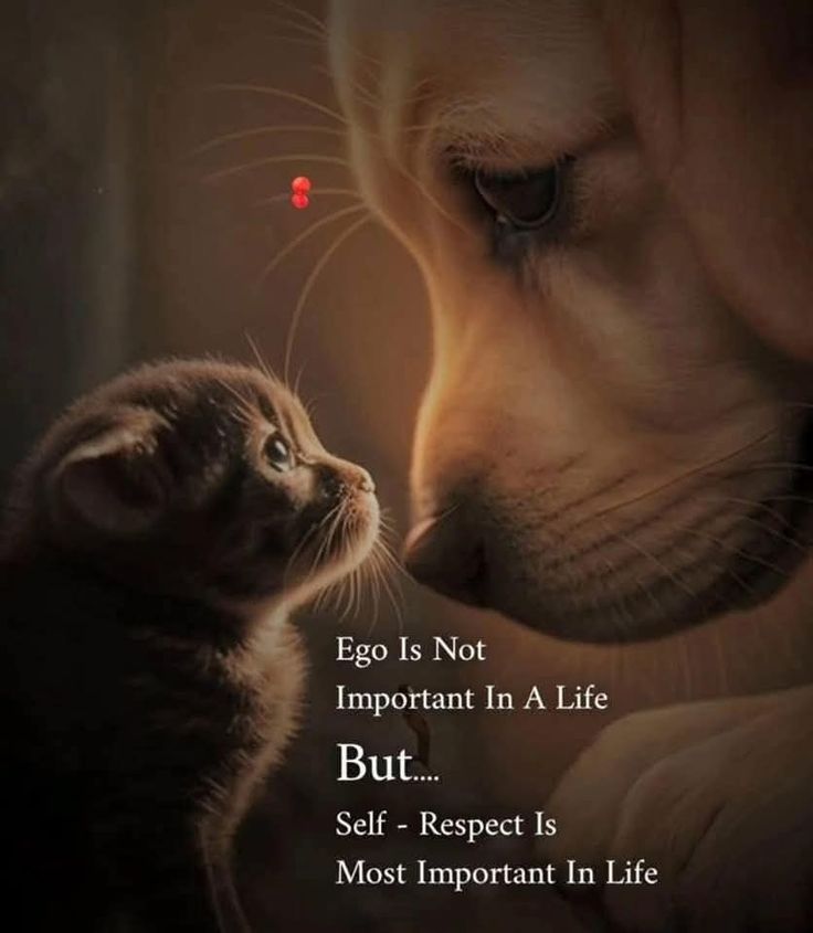 The Heart of Respect