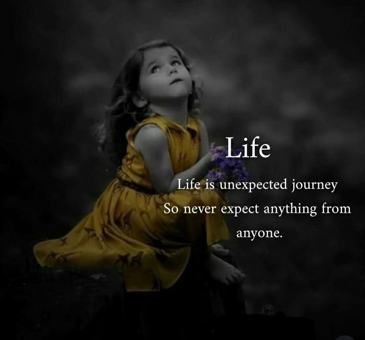 Life: An Unexpected Journey