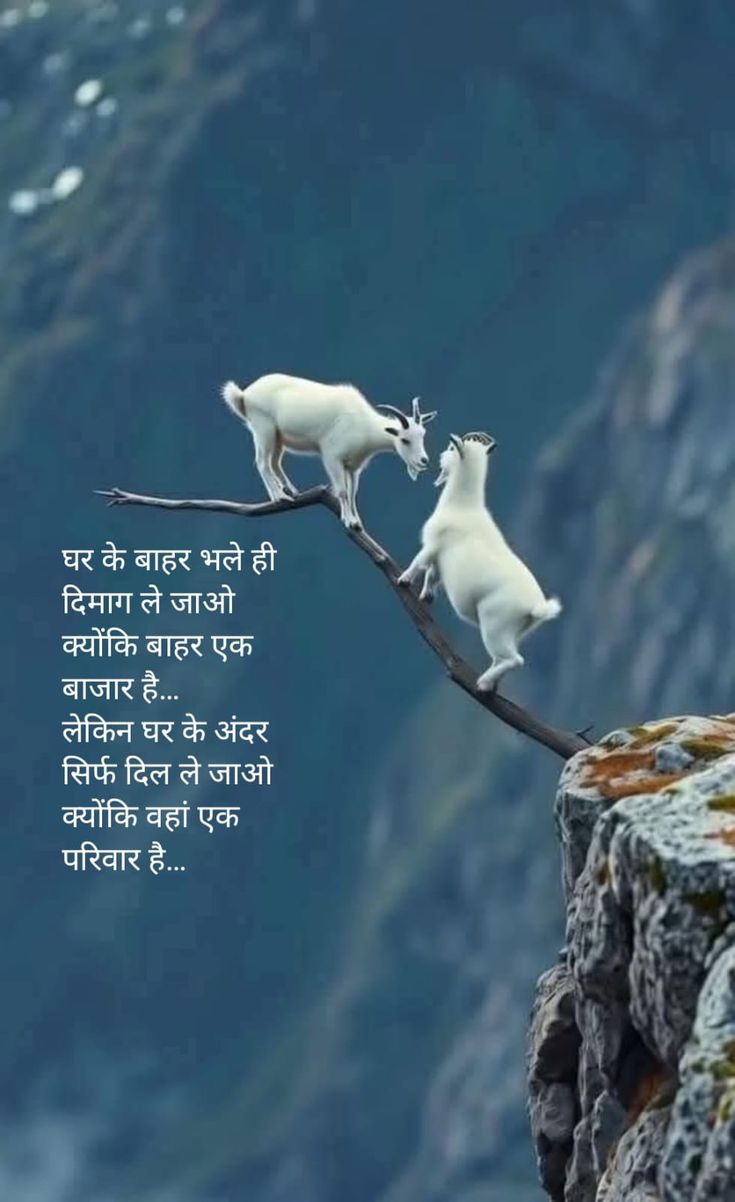 परिवार के लिए दिल, दुनिया के लिए दिमाग