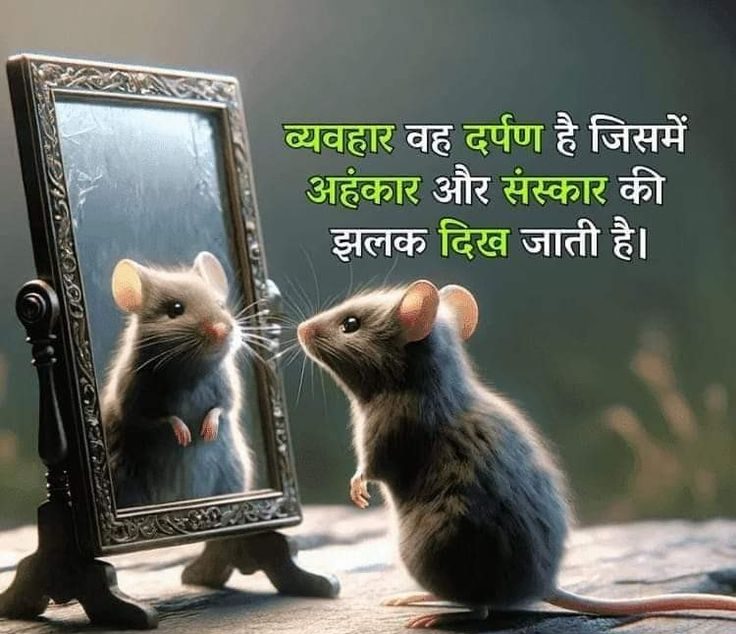 अहंकार और संस्कार का प्रतिबिंब