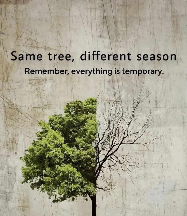 Life is Temporary